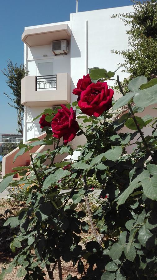 Yannis Apartments Amoudara Lasithiou Екстериор снимка