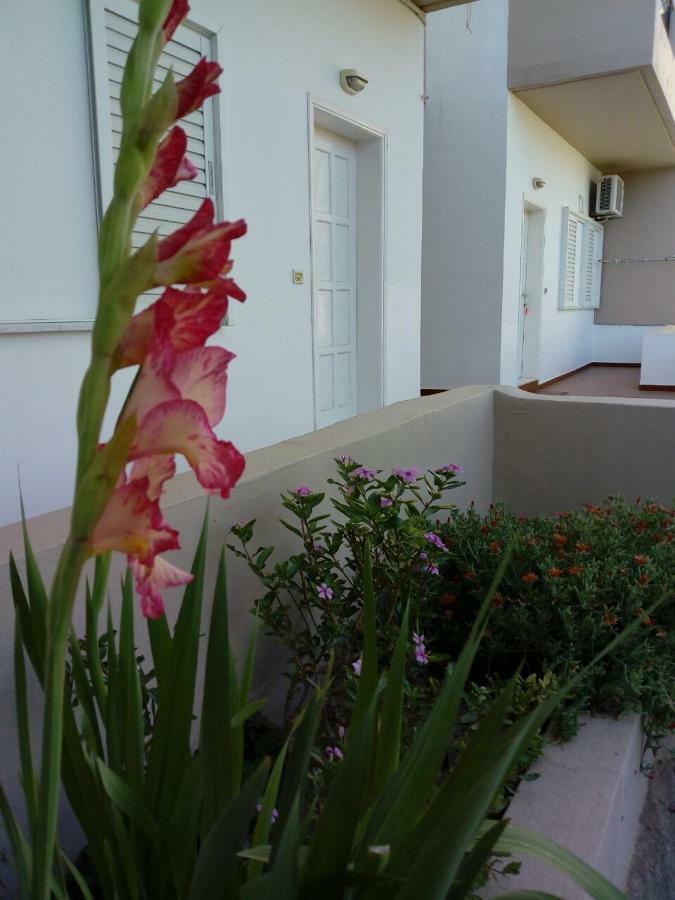 Yannis Apartments Amoudara Lasithiou Екстериор снимка